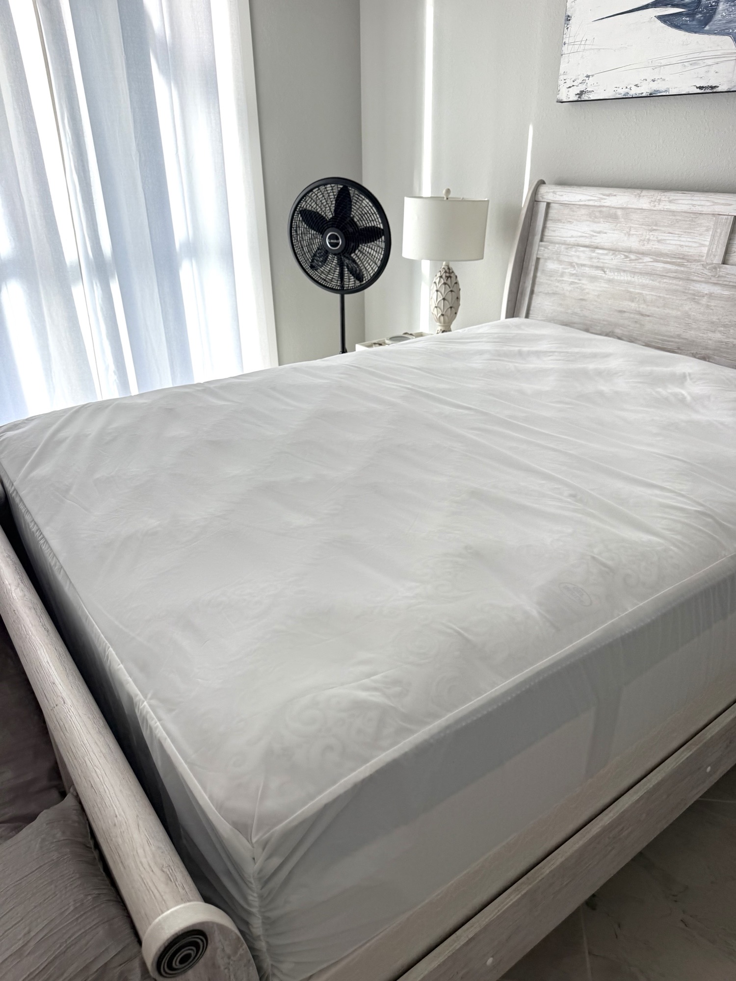 Cleaning professional working in a residential space
